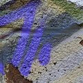 Paint 005