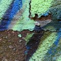 Paint 006