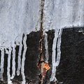 Paint 022