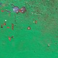 Paint 024
