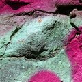 Paint 029