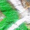 Paint 038