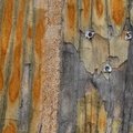 Wood Plywood 016