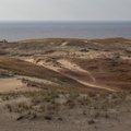 Sea Dunes 017