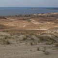 Sea Dunes 018