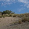 Sea Dunes 019