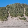 Sea Dunes 020
