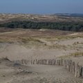 Sea Dunes 023