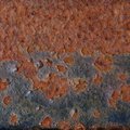 Rust Completely 029