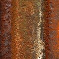 Rust Completely 030