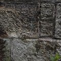 Wall Stone Bricks 003