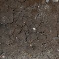 Soil Cracked 008