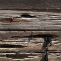 Wood Planks Old 019