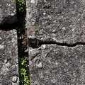 Concrete Damaged 033