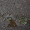 Water Puddle 008