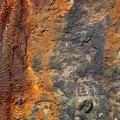 Rust Completely 038