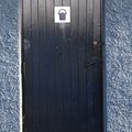 Door Wooden 006