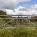 Fence Metal Gate 016