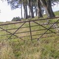 Fence Metal Gate 013
