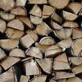 Wood Logs 007