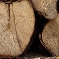 Wood Logs 003