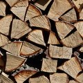 Wood Logs 005