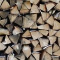 Wood Logs 006