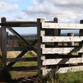 Fence Wooden Gate 004