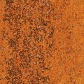 Rust Completely 092