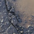 Water Puddle 030